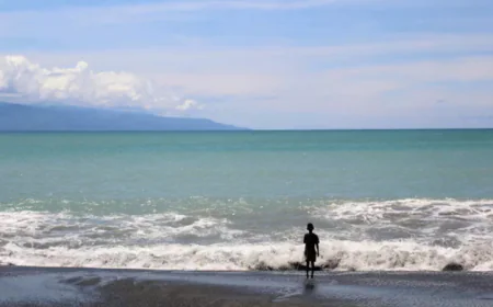 UN members reinforce nations' climate change obligations