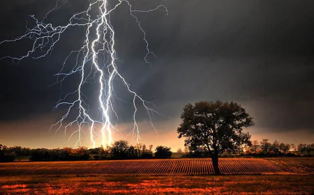 Farmer killed in Kishoreganj lightning strike