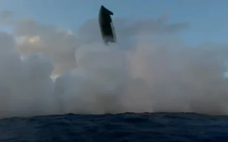 SpaceX's enormous Starship splashes down after test flight