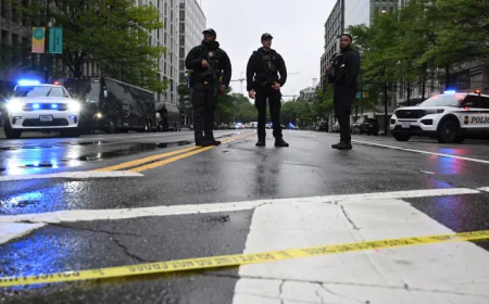 Gunman killed by US Secret Service after opening fire near White House