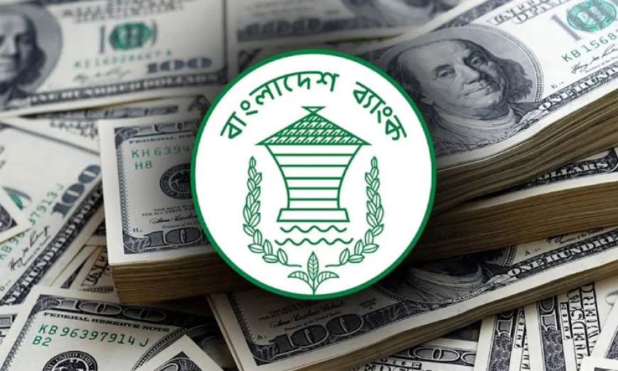 Remittance inflow grows 20.3pc in first six days of May