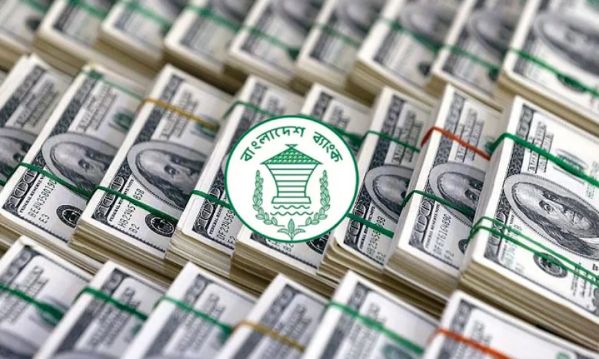 Remittance inflow grows 56.4pc in 1st 11 days of May