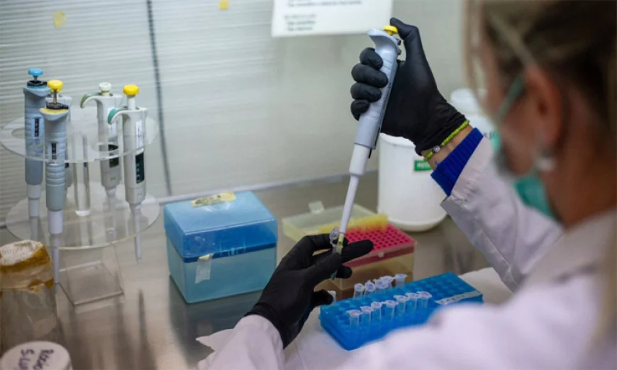 WHO confirms eight cases of Andes hantavirus in outbreak