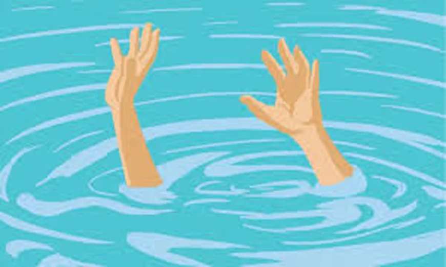 Two brothers drown in Tangail pond