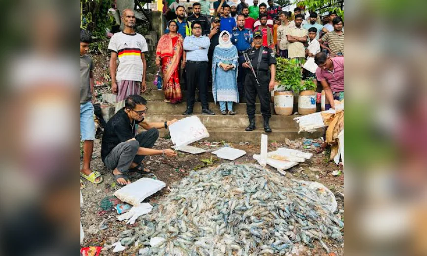 Mobile court fines fish trader for injecting jelly into shrimp in Narsingdi