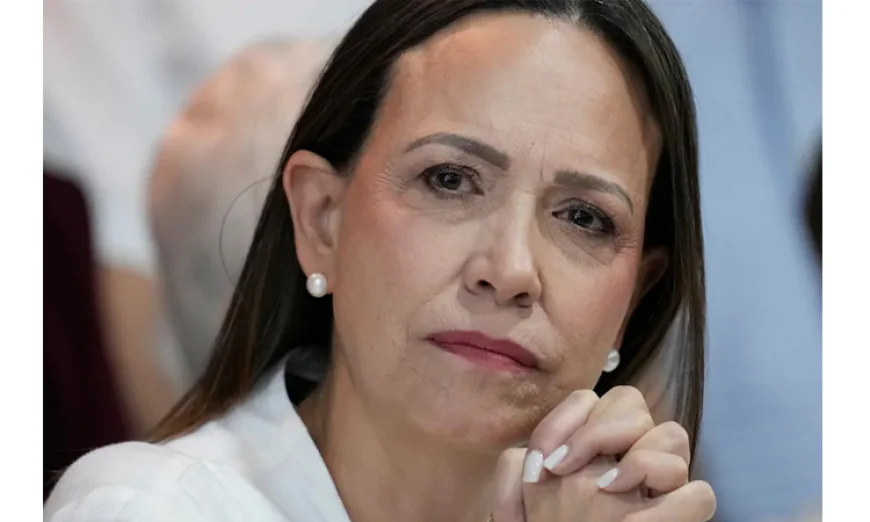 Venezuelan opposition leader will run in next election
