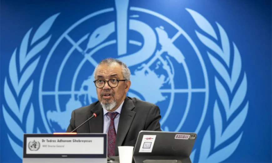 Suspected Ebola cases top 900 in DR Congo: WHO chief