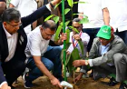PM launches nationwide drive to plant 25 crore trees