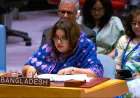 UN urged to back stronger role for women in peacebuilding: Shama