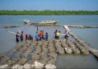 Adaptation receives 75.2pc of climate allocation in FY27 budget