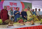 Healthy Social Culture Essential for a Civilised Society: Swapon