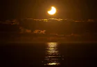 Earth May Escape Being Engulfed by the Sun, Scientists Say