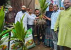 Saplings and fertiliser distributed among farmers in Barguna