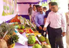 Fruit Fair Kicks Off in Rajshahi