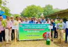 BMDA launches tree plantation drive to combat climate change