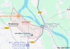 Man killed in wild elephant attack in Jamalpur