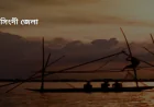 Eight Officials, Including Narsingdi Sadar AC Land, Served Show-Cause Notices