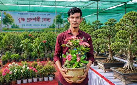 Success Story of Akash Ahmed: A Young Green Entrepreneur from Bangladesh
