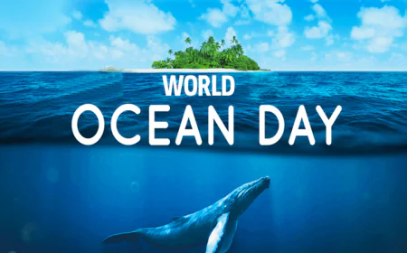 World Oceans Day Observed Today