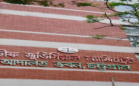Tribunal Takes Cognizance of Four-Year Child Rape Case