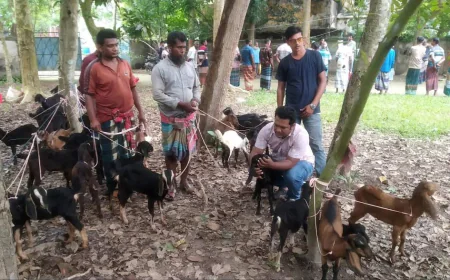 Goats, Food and Medicines Distributed Among Fishermen in Bagerhat