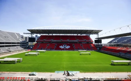 Toronto’s Bosnians Relish Improbable World Cup Showdown