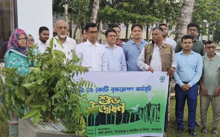Tree plantation programme launched in Pirojpur
