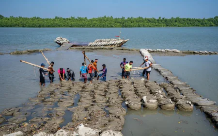 Adaptation receives 75.2pc of climate allocation in FY27 budget
