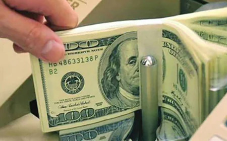 Remittance Inflow Stays Strong, Up 18.1pc in FY