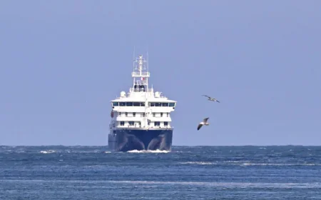 What Lessons Emerged from the Hantavirus Cruise Ship Scare?