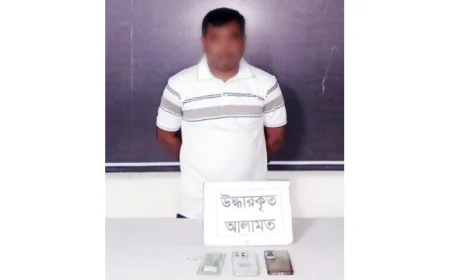 One Held in Gazipur Pornography Case
