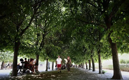 France Places Half the Country on Red Alert for Monday Heatwave