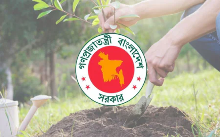 Bangladesh Eyes $1bn Annual Carbon Credit Revenue from Massive Tree Plantation Drive