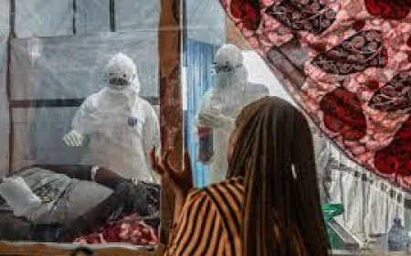 WHO: Ebola therapeutics trials to begin in DRC next week