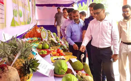 Fruit Fair Kicks Off in Rajshahi