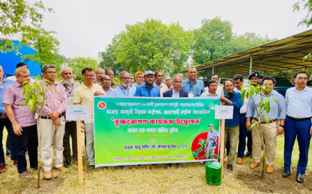 BMDA launches tree plantation drive to combat climate change