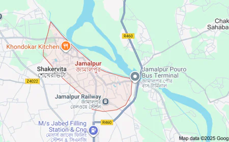 Man killed in wild elephant attack in Jamalpur
