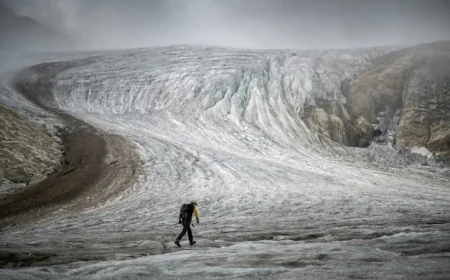Swiss glaciers face drastic loss amid heatwave: expert