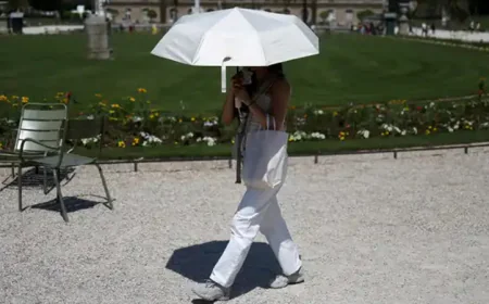 WHO: Over 1,300 excess deaths recorded in Europe heatwave