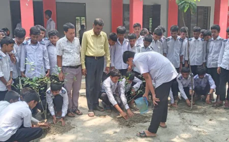'One Child, One Tree' Plantation Drive Held in Gaibandha