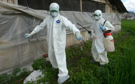 Bird Flu Cases Rise in Nepal, Only Zoo Shut