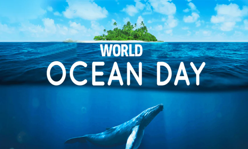 World Oceans Day Observed Today