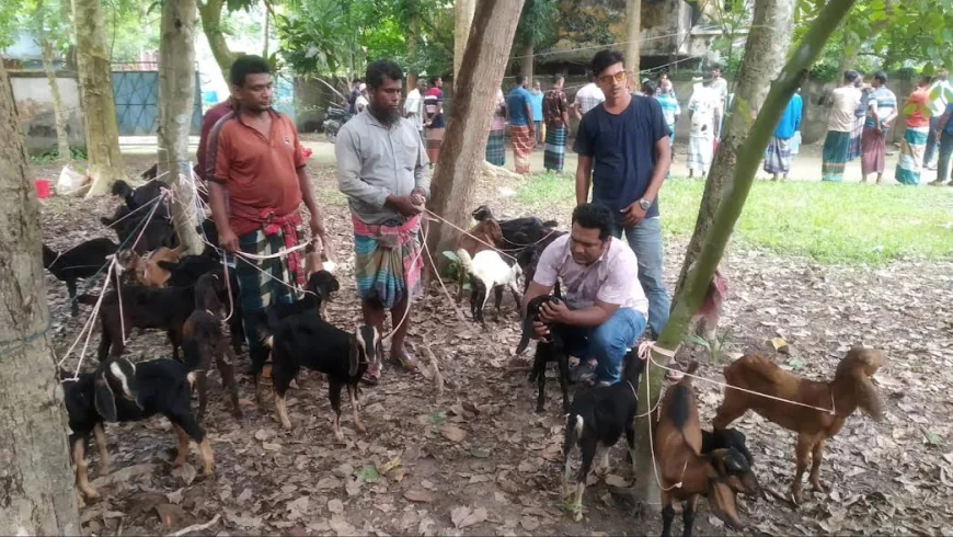 Goats, Food and Medicines Distributed Among Fishermen in Bagerhat