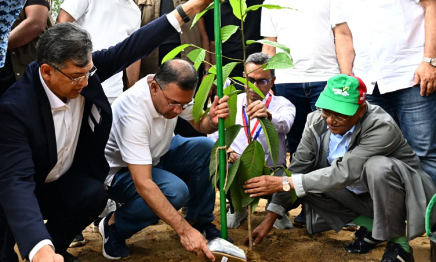 PM launches nationwide drive to plant 25 crore trees