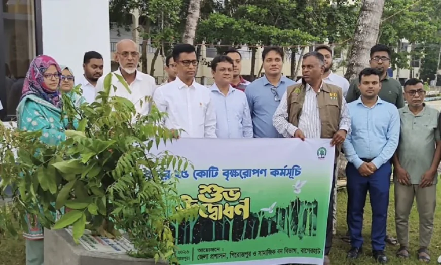 Tree plantation programme launched in Pirojpur
