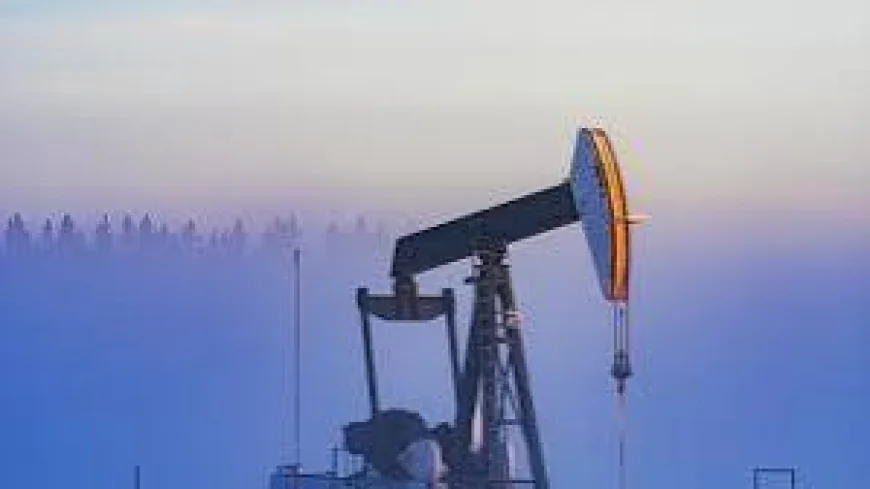 OECD Oil Stocks Drop to Lowest Level Since 1990: IEA