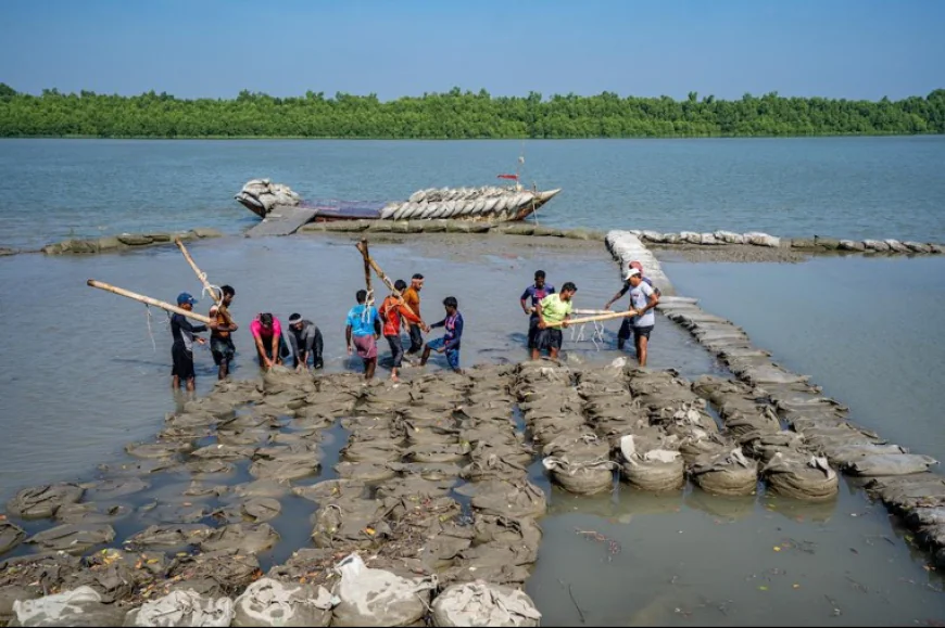 Adaptation receives 75.2pc of climate allocation in FY27 budget