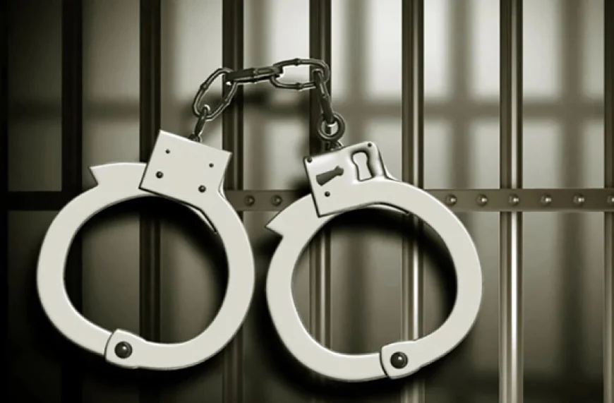ASI, wife arrested over torture of domestic worker in Khulna