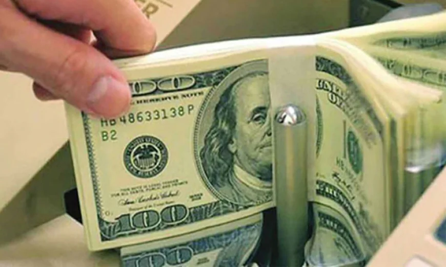 Remittance Inflow Stays Strong, Up 18.1pc in FY