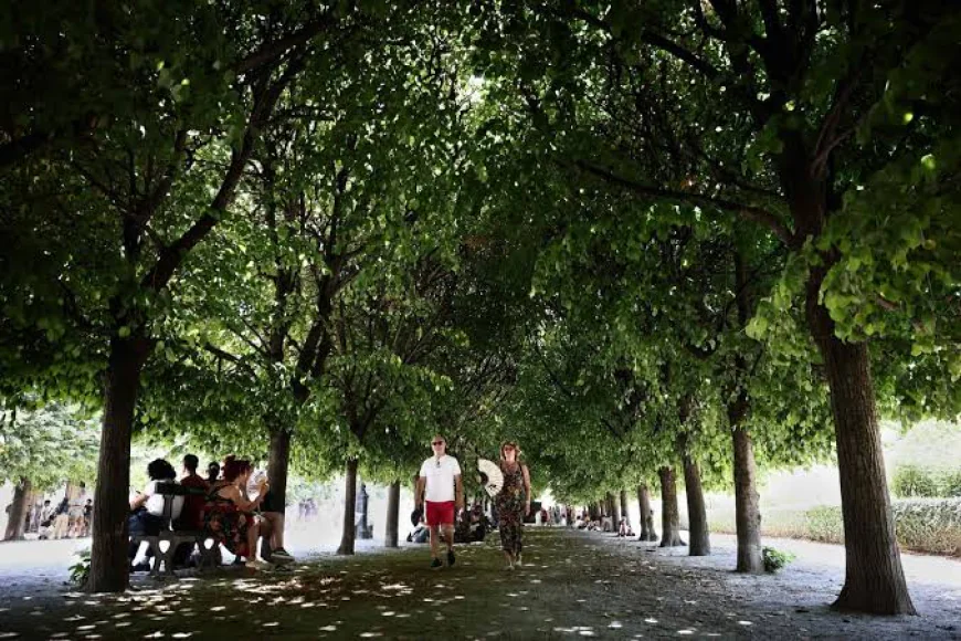 France Places Half the Country on Red Alert for Monday Heatwave